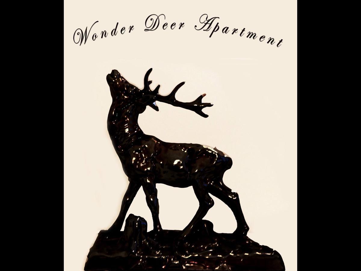 Wonder Deer Lux Apartment At The Parliament Self Check-In Budapest Luaran gambar